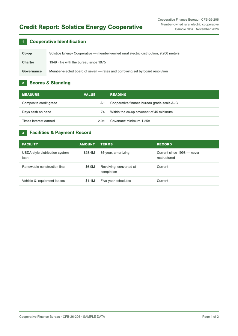 Corporate ESG report credit report